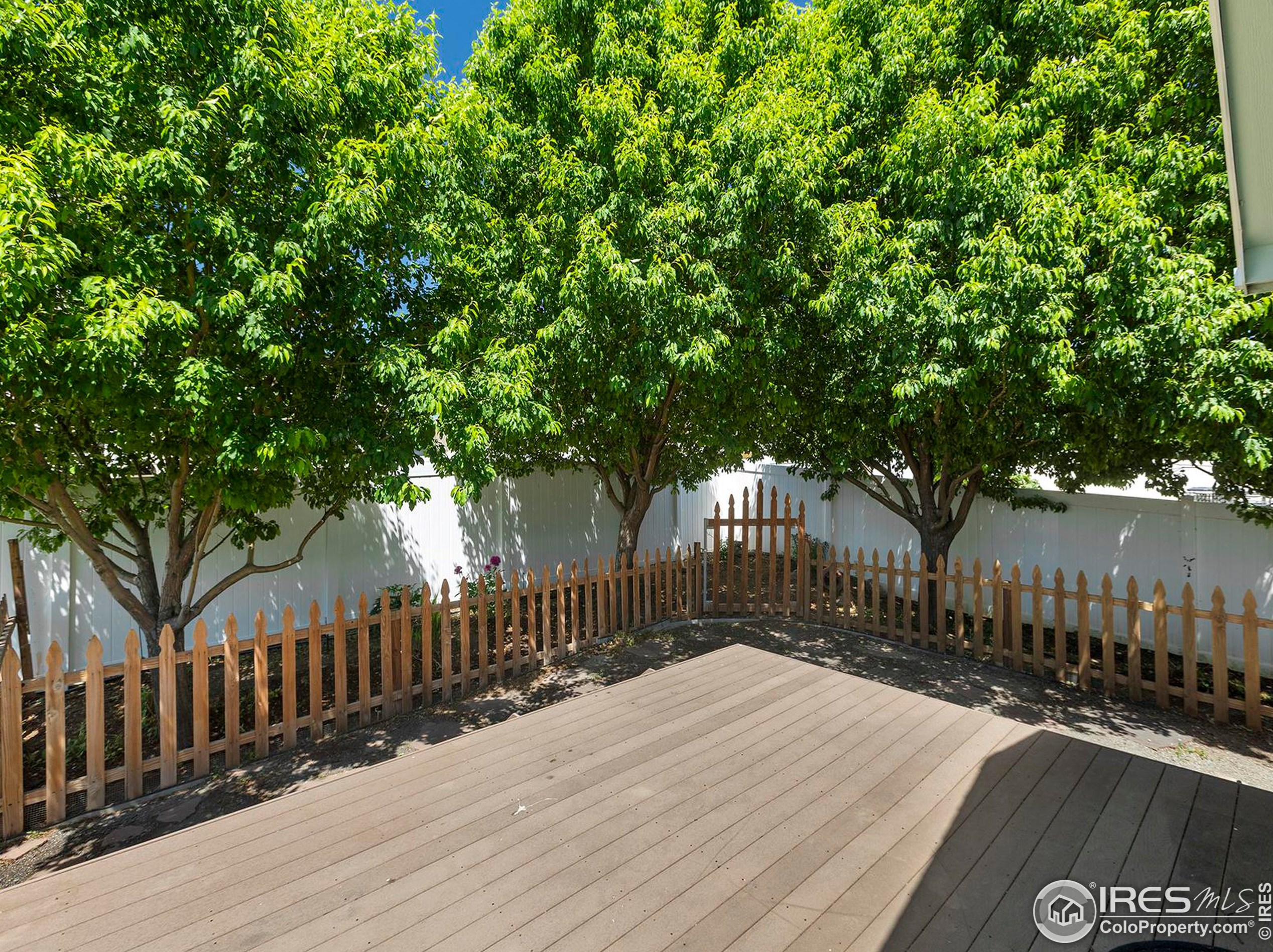 3604 Mt Ouray St, Wellington CO 80549-2216 exterior