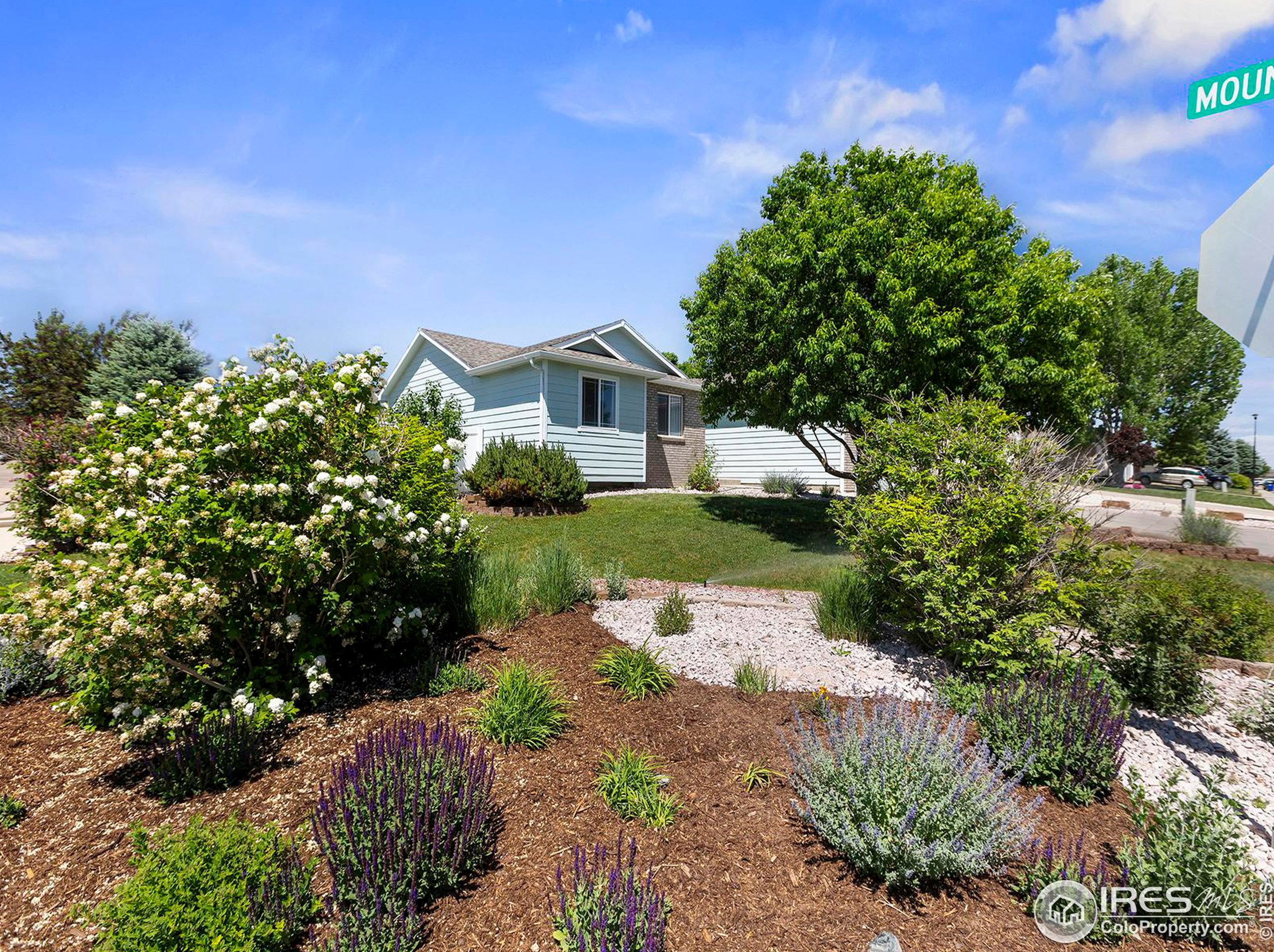 3604 Mt Ouray St, Wellington CO 80549-2216 exterior