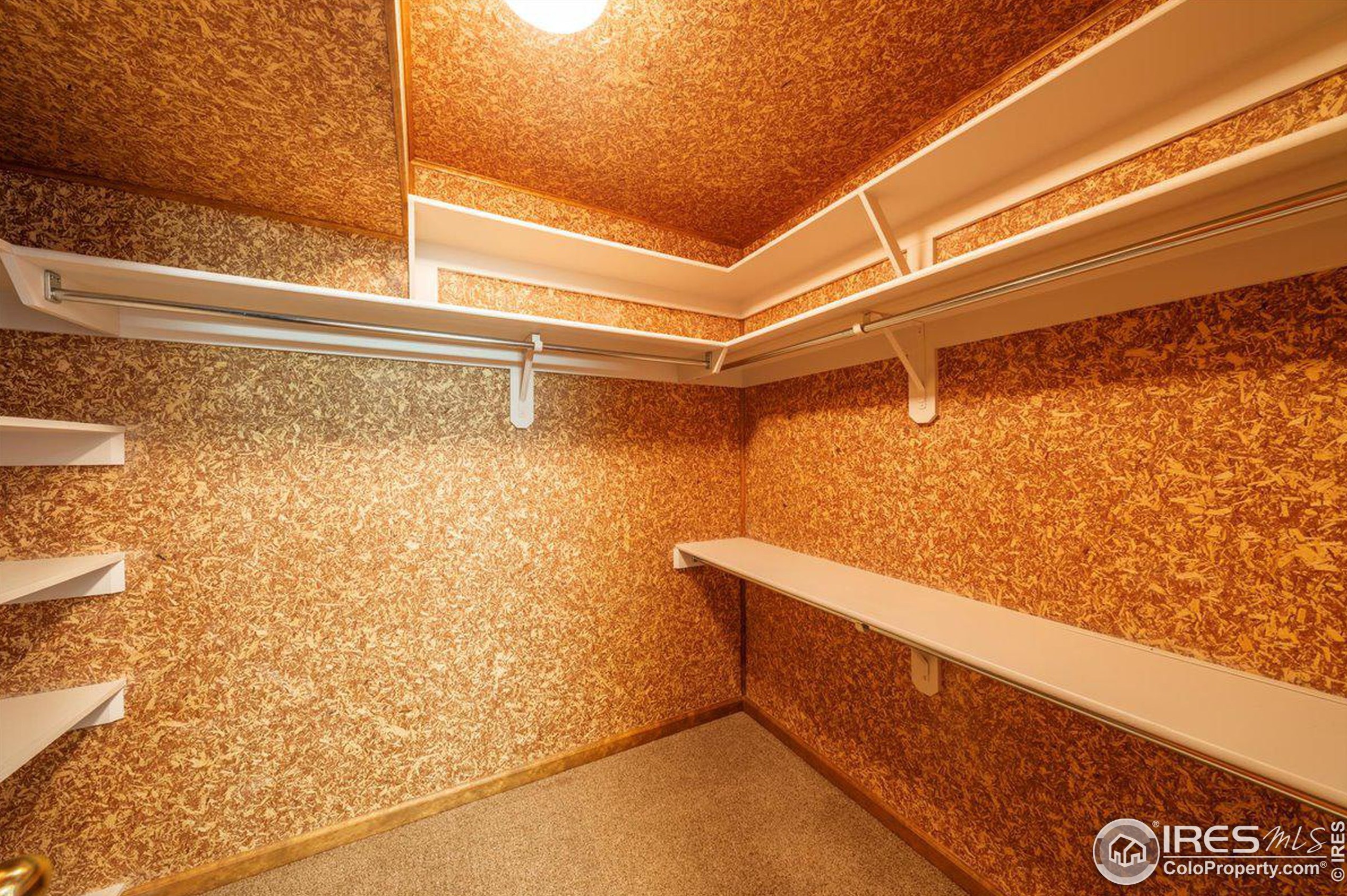 1031 48 Ave, Greeley CO 80634-2304 exterior