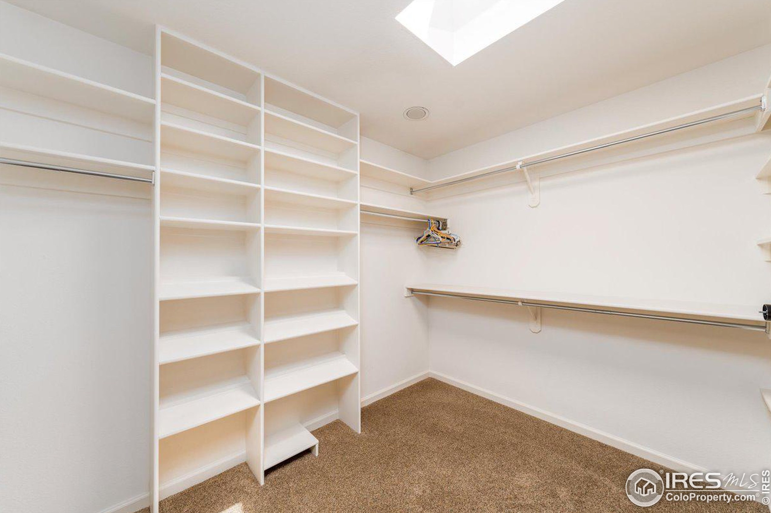 1031 48 Ave, Greeley CO 80634-2304 exterior