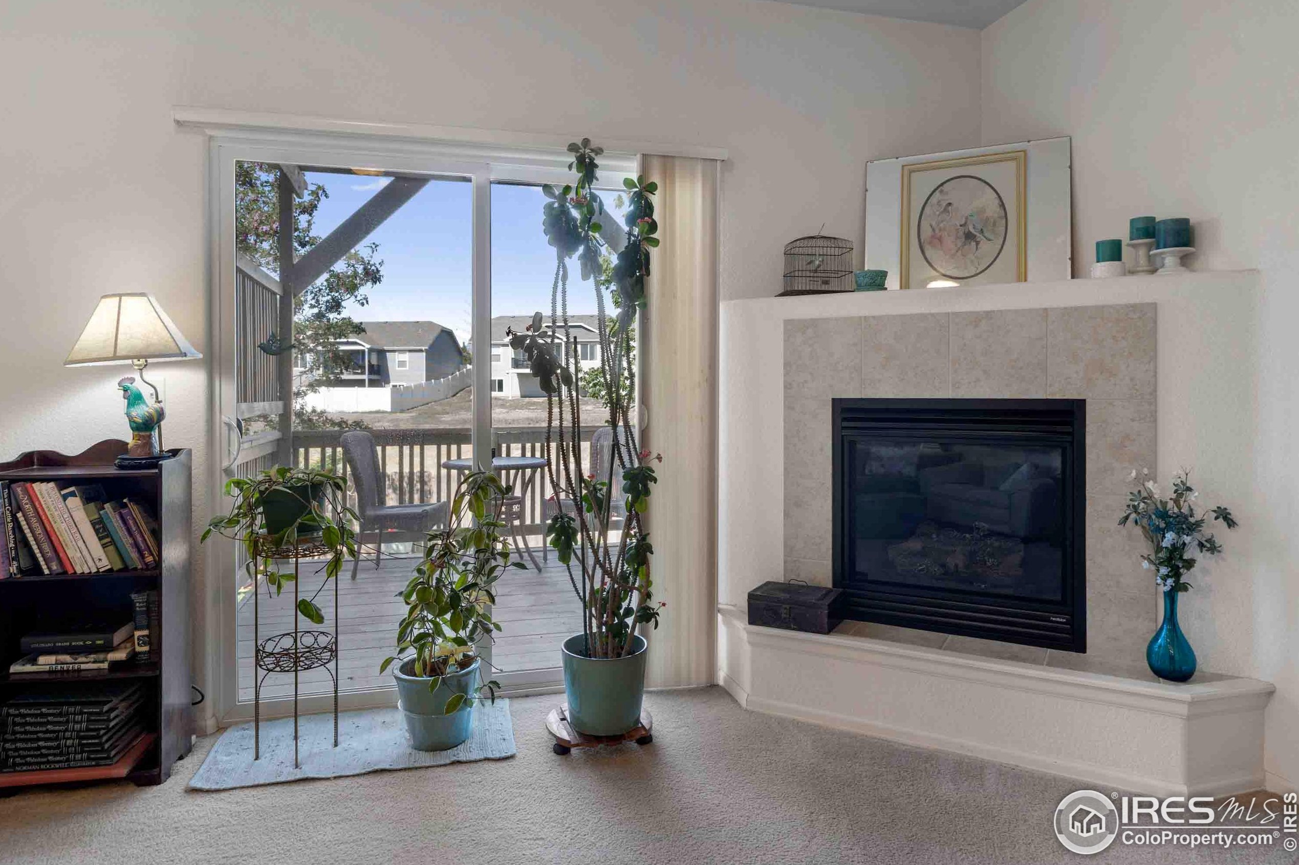 309 Windflower Way, Fort Collins CO  80550-6233 exterior