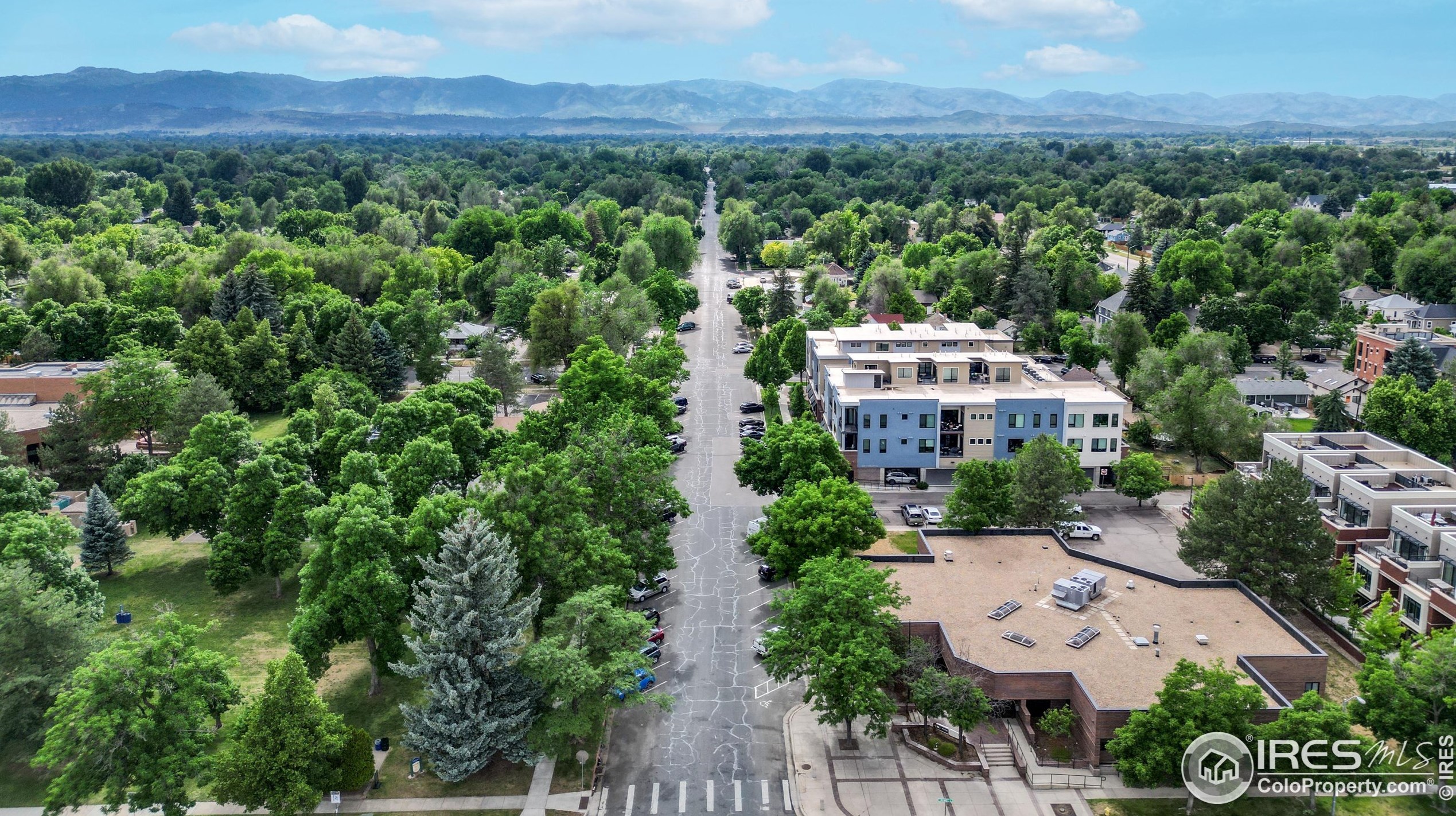 204 Maple St, Fort Collins CO  80521-2075 exterior