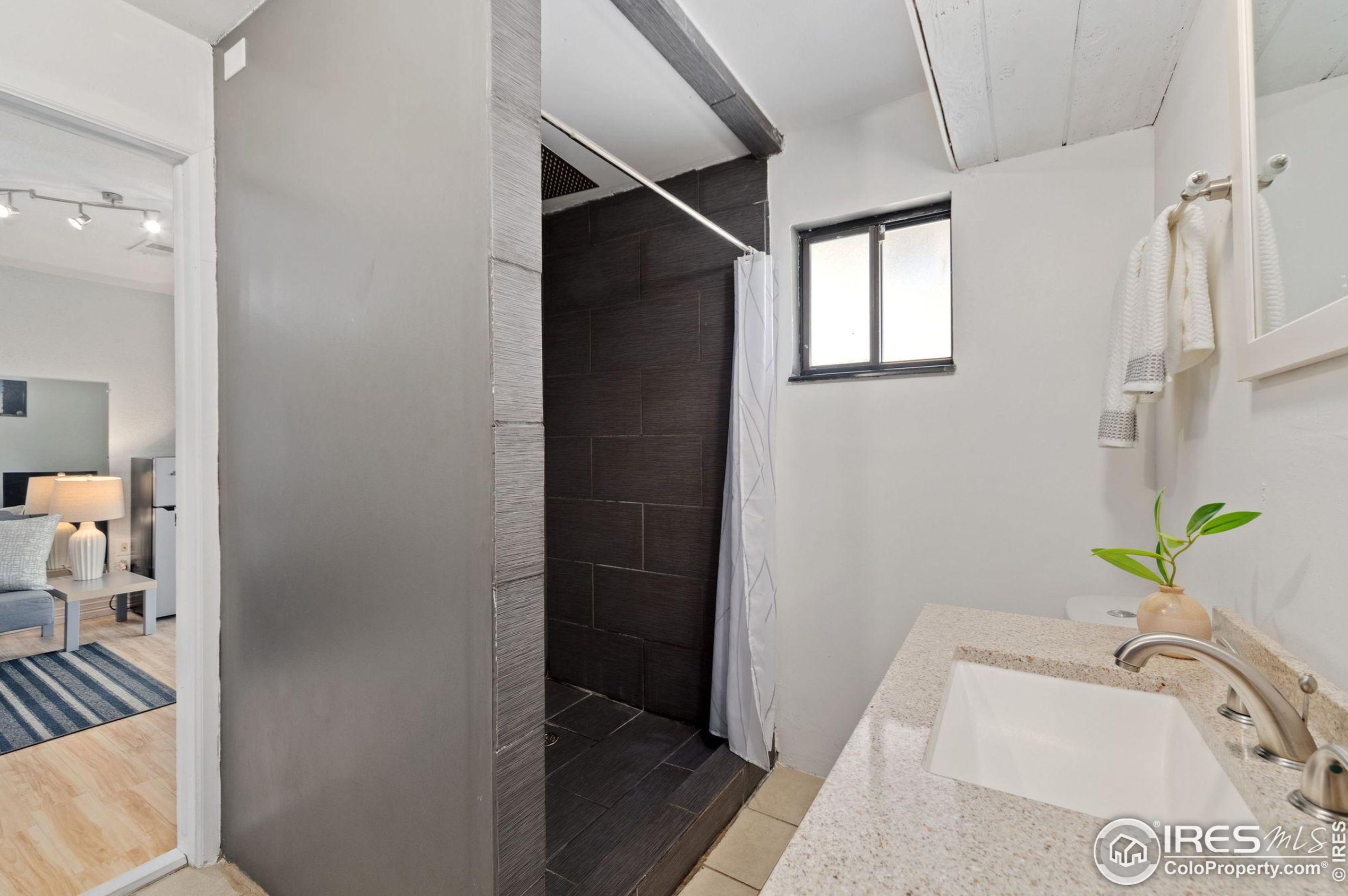 2616 Darren St, Fort Collins CO  80524-3676 exterior