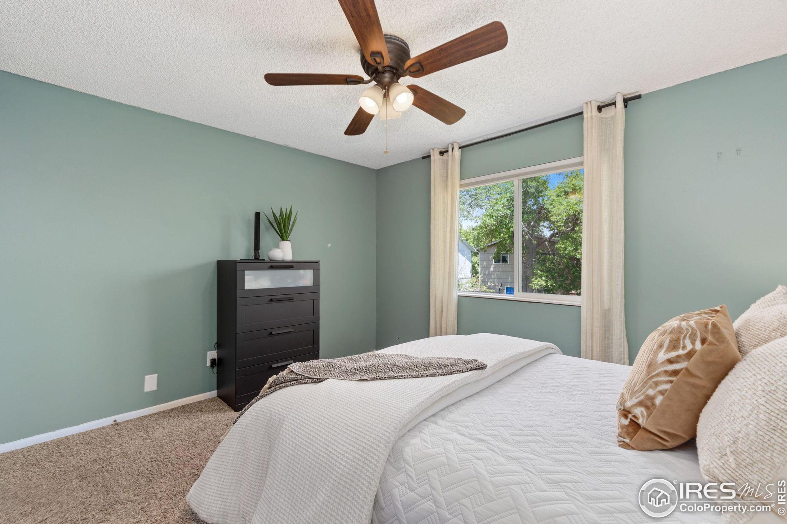 2616 Darren St, Fort Collins CO  80524-3676 exterior
