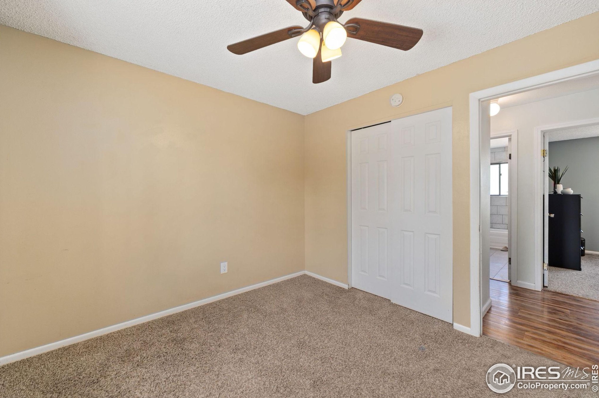 2616 Darren St, Fort Collins CO  80524-3676 exterior