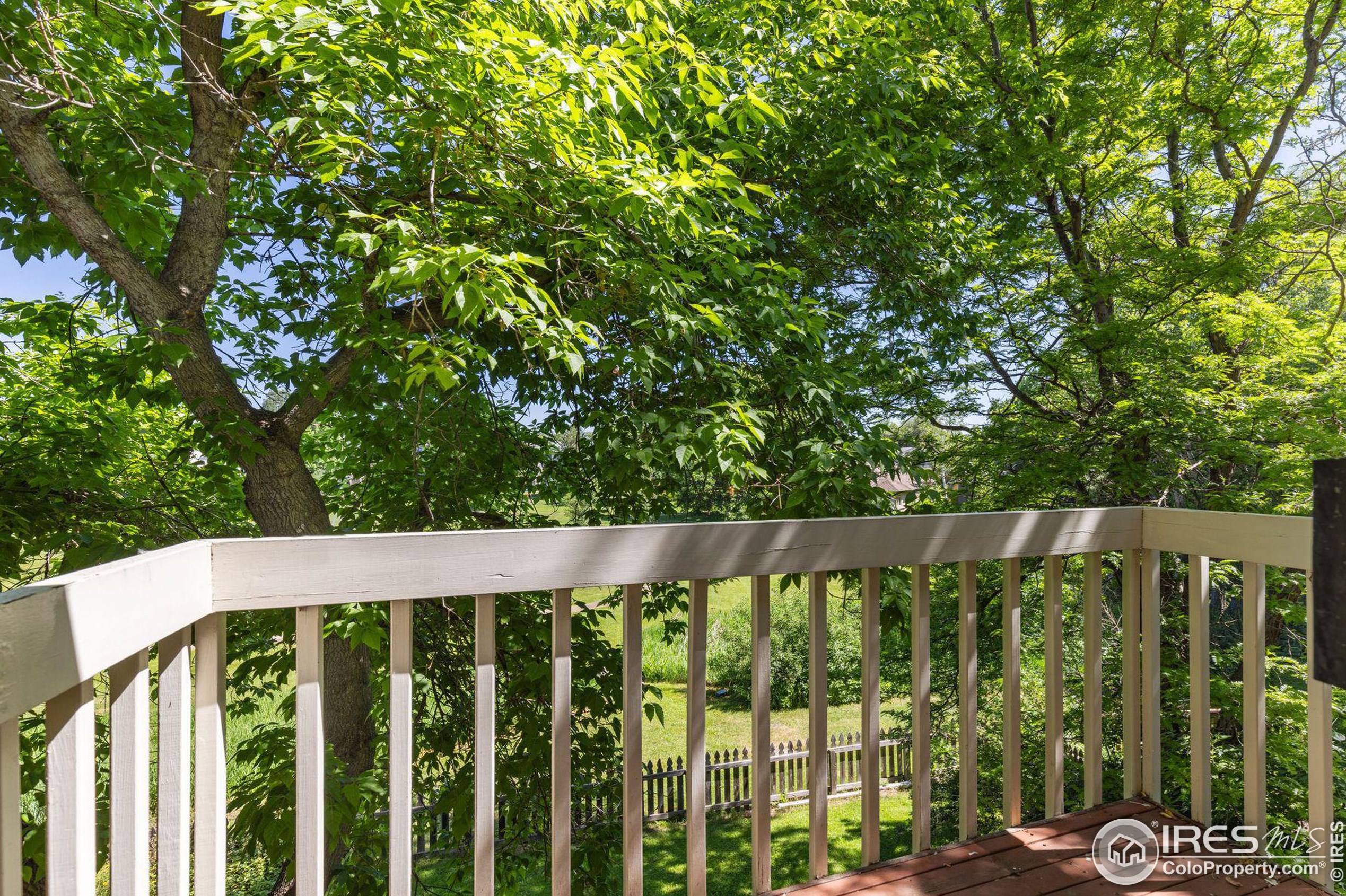 2471 Norwood Ave, Boulder CO 80304-1217 exterior