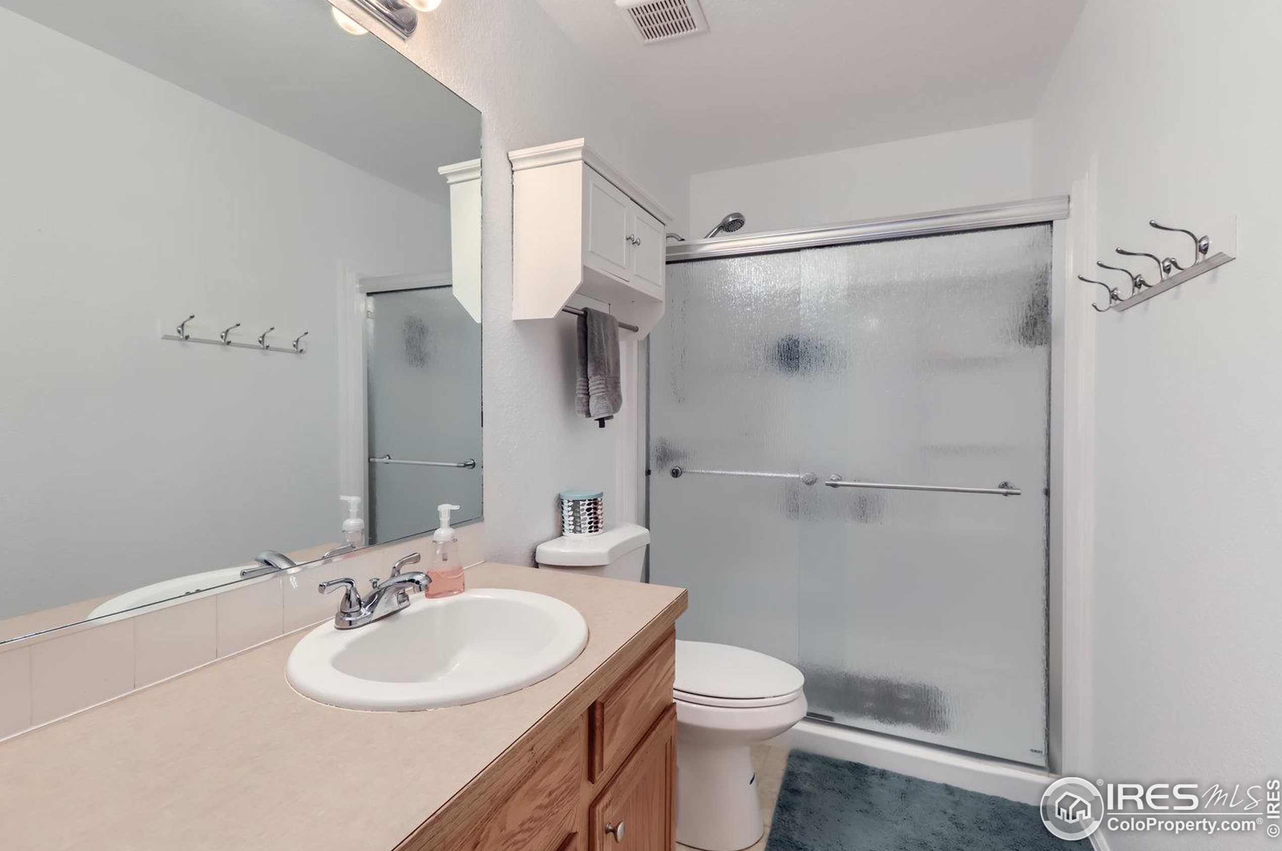 3674 Homestead Dr, Mead CO  80542-4519 exterior