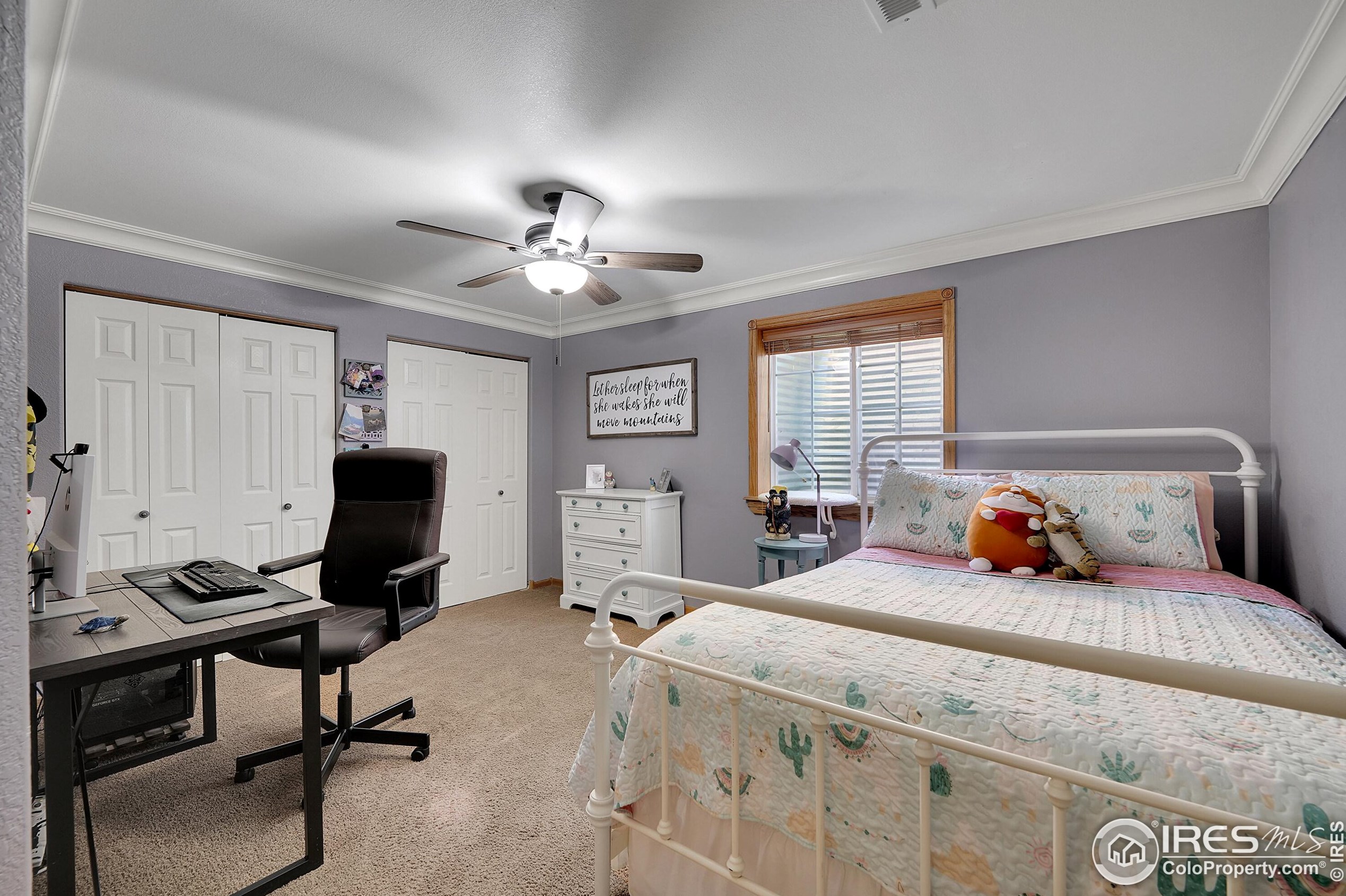 2247 Woody Creek Cir, Loveland CO  80538-5333 exterior