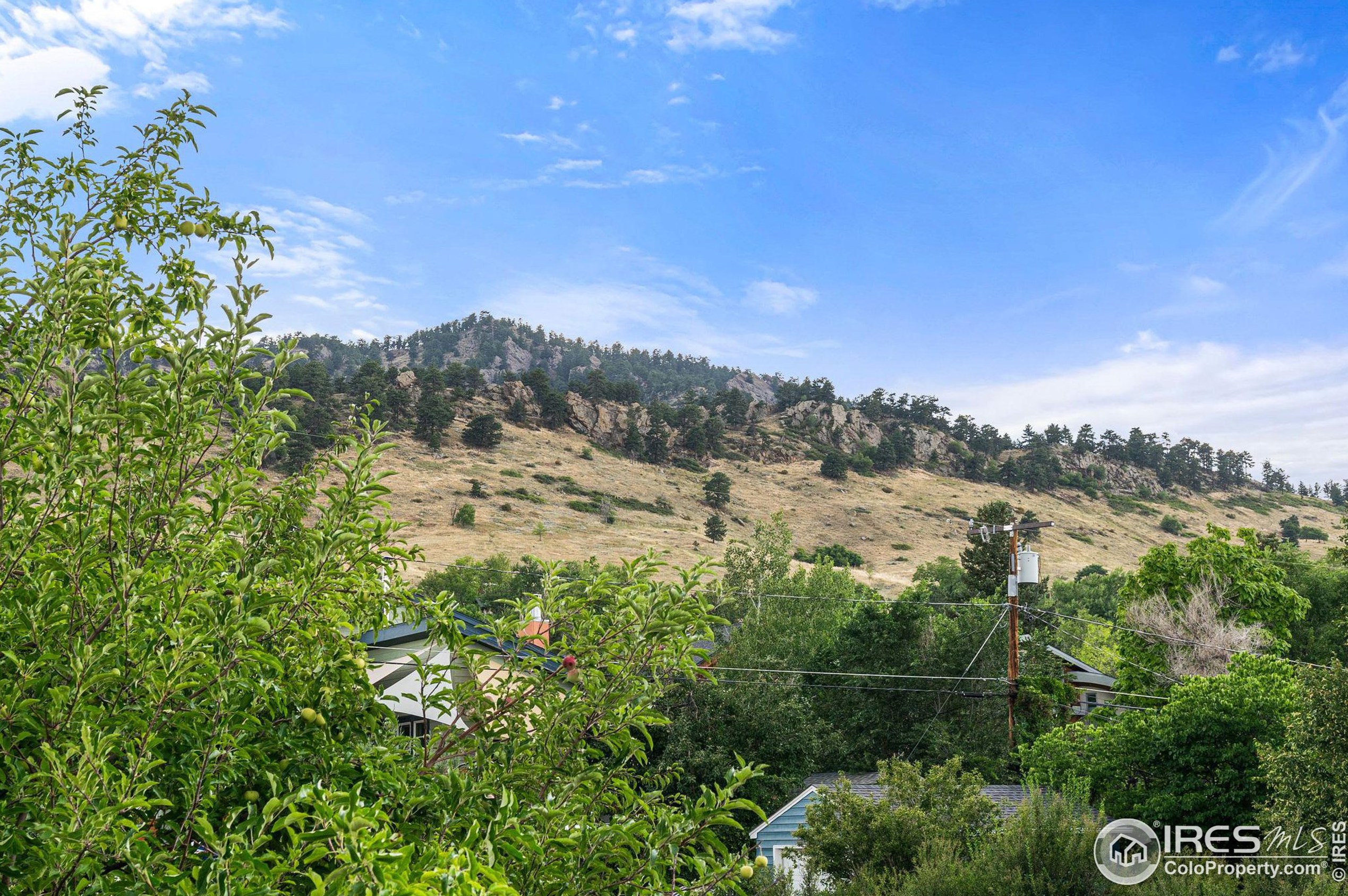 550 Cedar Ave, Boulder CO 80304-3023 exterior