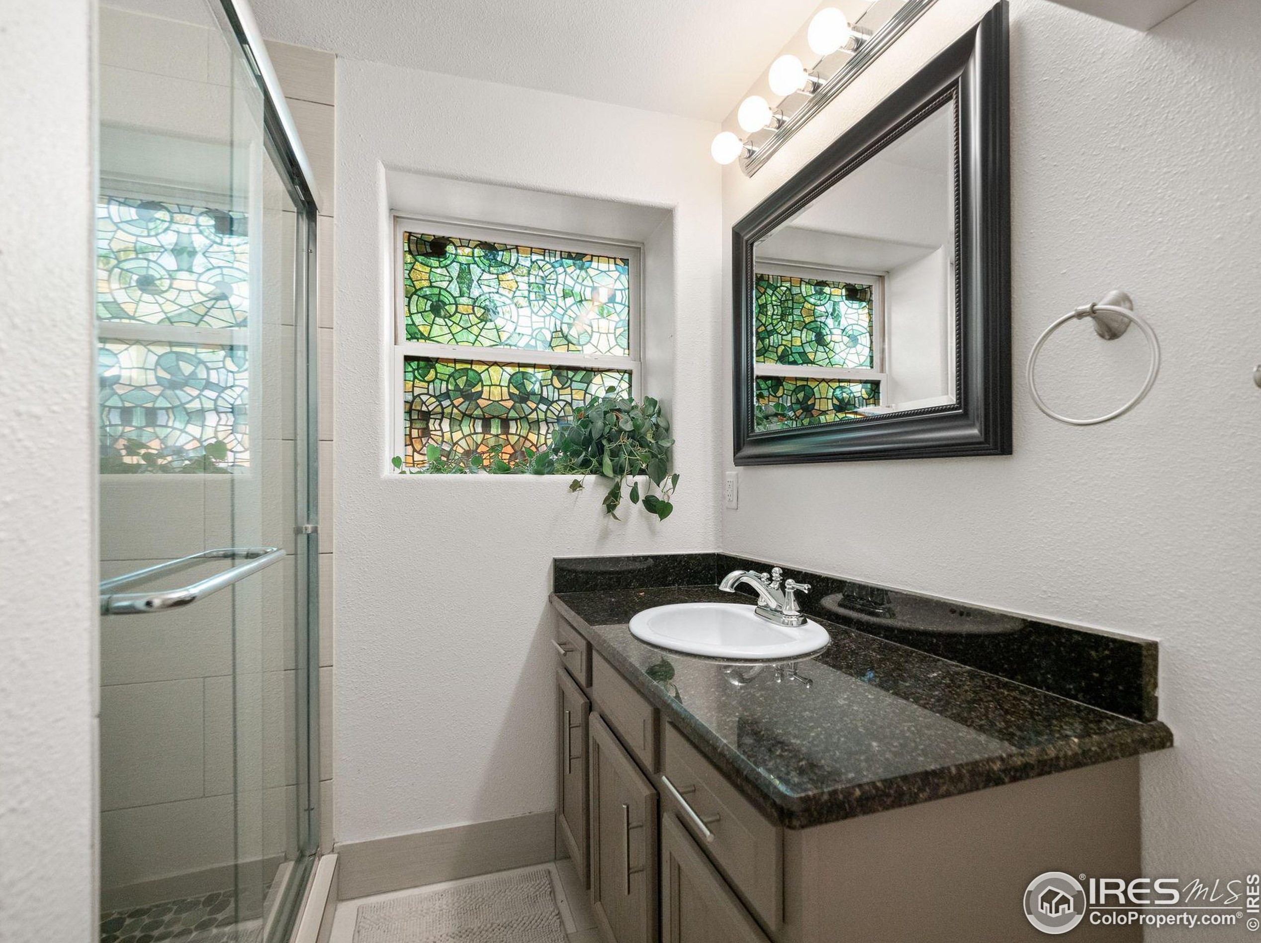 1747 Trenton St, Denver CO  80220-2046 exterior