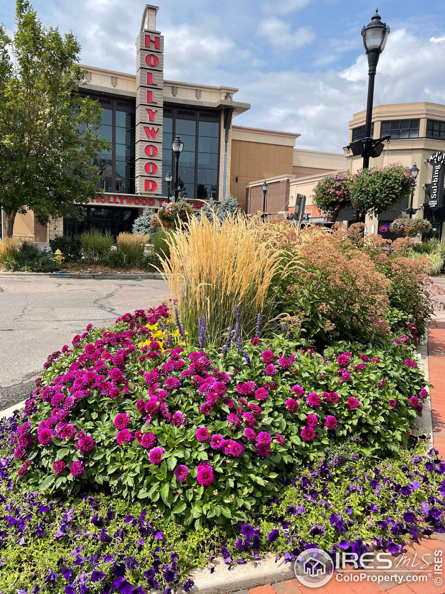 7110 Gaylord St, Littleton CO  80122-1617 exterior