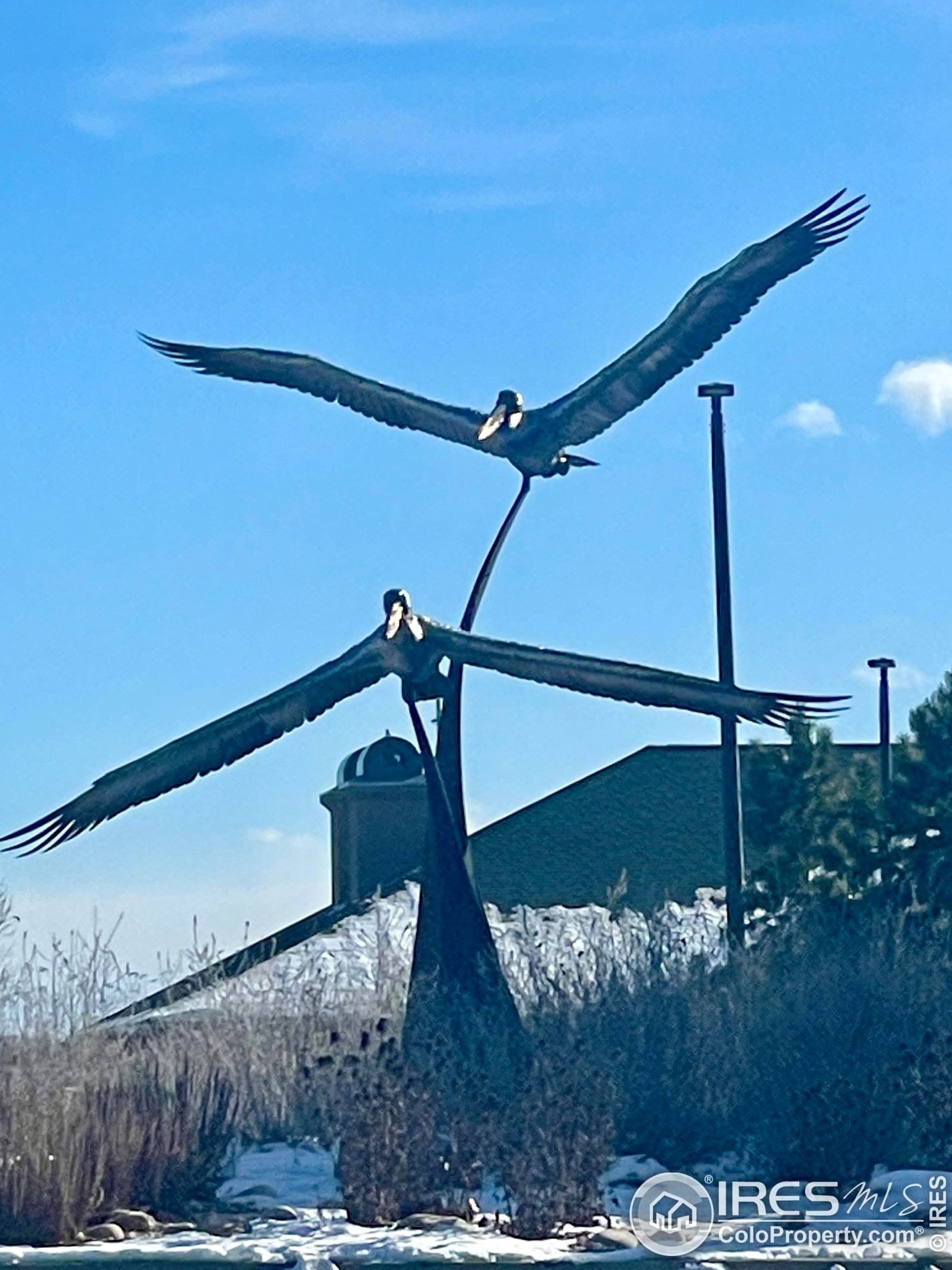 1410 Boardwalk Dr, Fort Collins CO 80525-5947 exterior