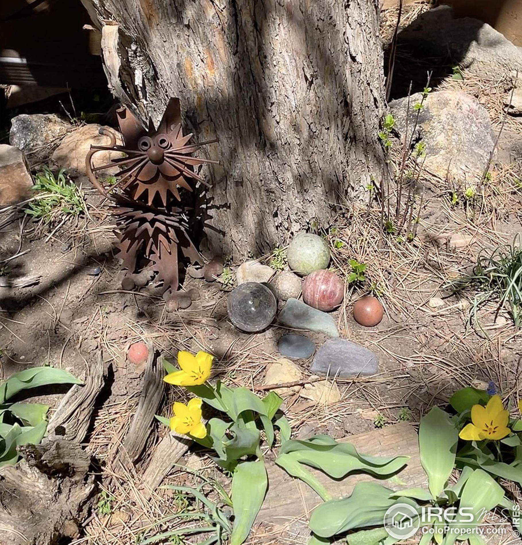 2647 Juniper Ave, Boulder CO 80304-2458 exterior