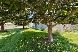 305 E Chase St, Haxtun, CO 80731 - Photo 15