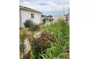 4795 Audrey St, Firestone, CO 80504 - Photo 31