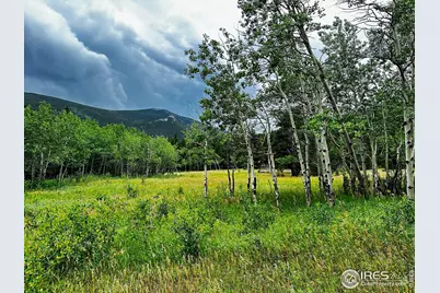 928 Ski Rd, Allenspark, CO 80510 - Photo 1