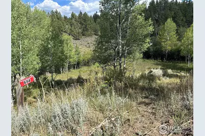 684 Lone Pine Lake Dr, Red Feather Lakes, CO 80545 - Photo 1