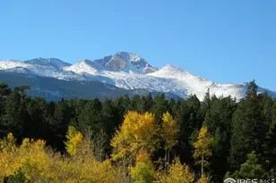 1565 Hwy 66, Estes Park, CO 80517 - Photo 1