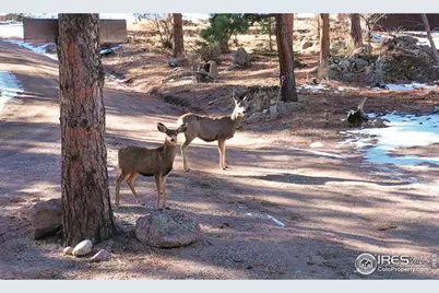 0 (Tbd) Pima Rd, Lyons, CO 80540 - Photo 1