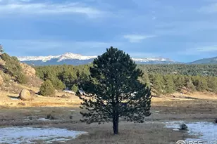 1 Langis Rd, Florissant, CO 80816 - Photo 1