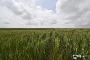 County Road 57, Yuma, CO 80759 - Photo 1