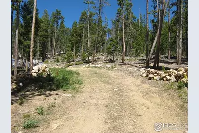 1244 Mosquito Dr, Red Feather Lakes, CO 80545 - Photo 1