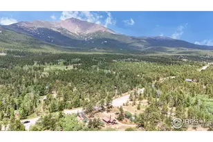 11563 Peak To Peak Dr, Allenspark, CO 80510 - Photo 1