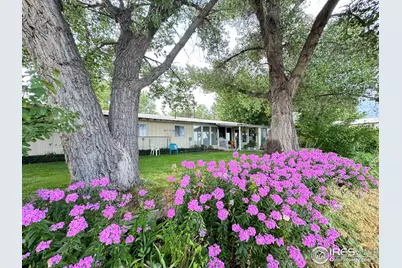 15721 County Road 1, Wiggins, CO 80654 - Photo 1