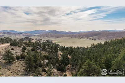 1097 Montcalm Dr, Livermore, CO 80536 - Photo 1