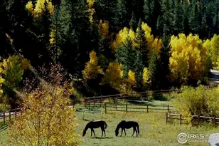 7127 Hwy 72, Nederland, CO 80466 - Photo 1