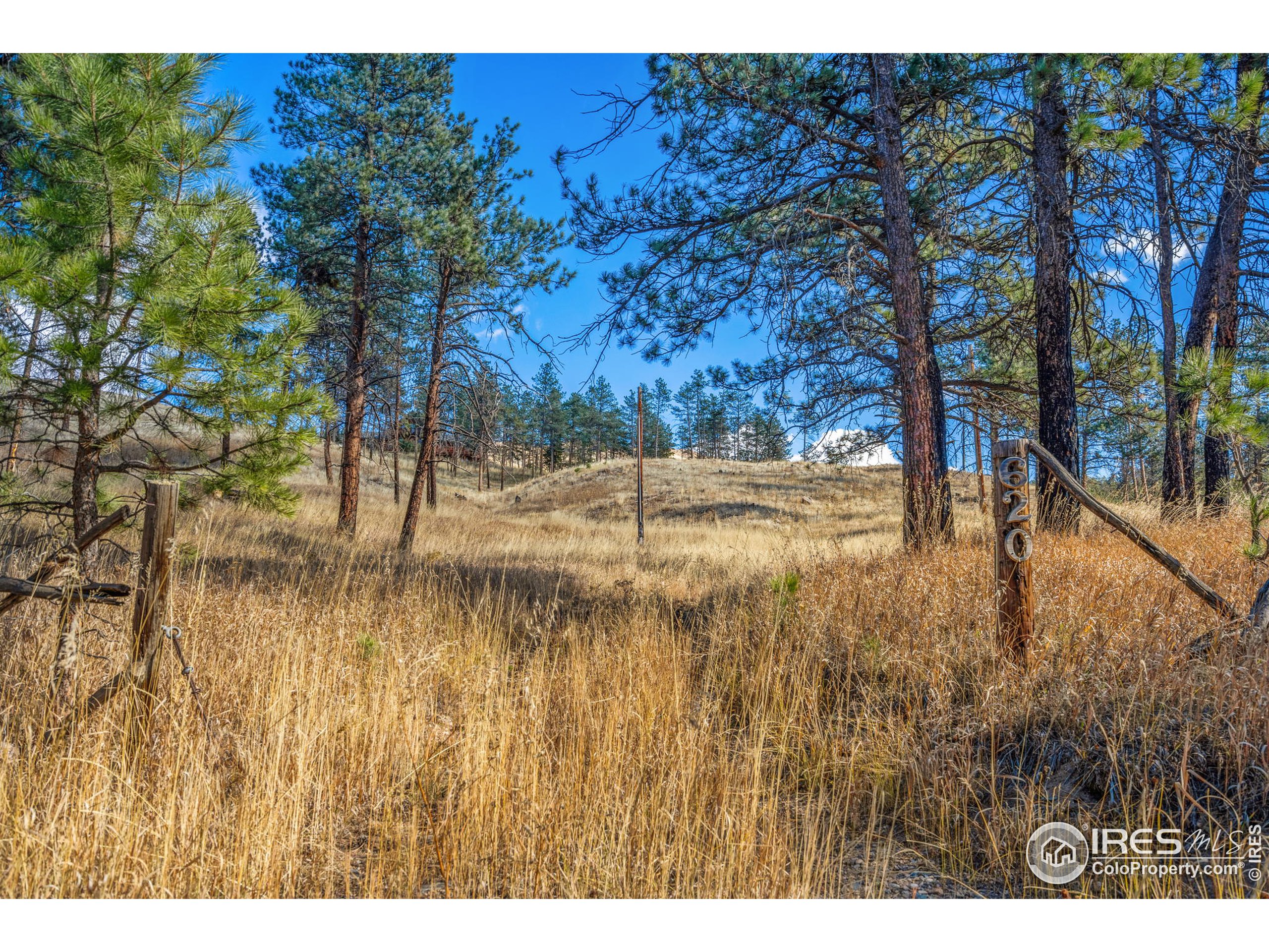 620 Davis Ranch Rd, Bellvue, CO 80512 MLS 955080 Coldwell Banker