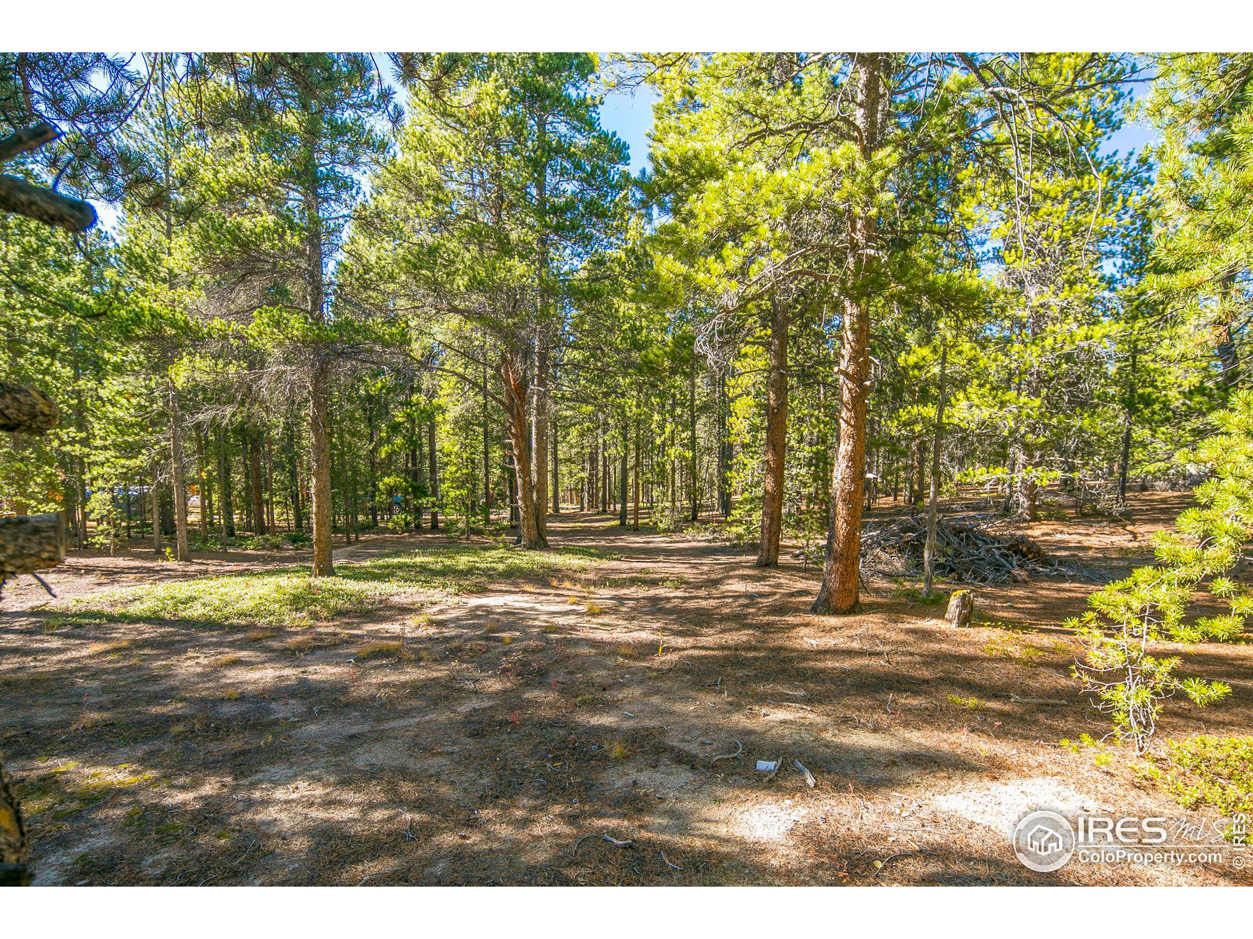 200 Severance Lodge Rd, Black Hawk, CO 80422 MLS 977440 Coldwell Banker