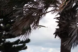 2709 Casey Key Rd, Nokomis, FL 34275 - Photo 59