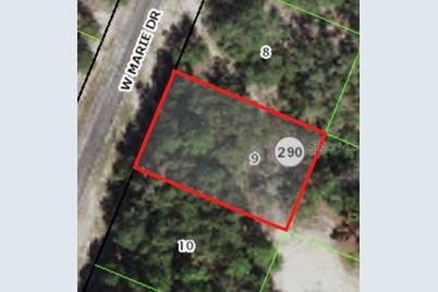 3050 W Marie Drive, Citrus Springs, FL 34433 - Photo 1