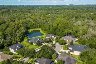 5120 Tari Stream Way, Brandon, FL 33511 - Photo 35