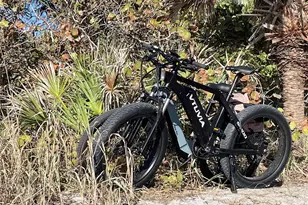 333 The Esplanade N, Venice, FL 34285 - Photo 43