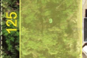 12006 Waterman Ave, Port Charlotte, FL 33981 - Photo 1