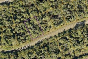 1127226126 Largeleaf St, North Port, FL 34288 - Photo 1