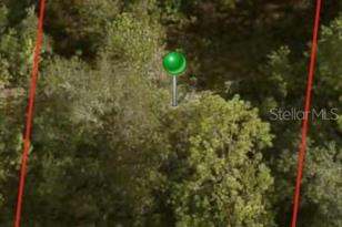 1729 W Pendleton St, Citrus Springs, FL 34434 - Photo 1