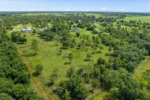 34452 Singletary Rd, Myakka City, FL 34251 - Photo 19