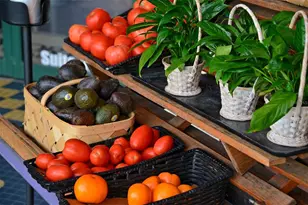 1747 Waldemere St, Sarasota, FL 34239 - Photo 61