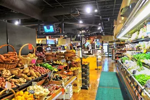 1747 Waldemere St, Sarasota, FL 34239 - Photo 63