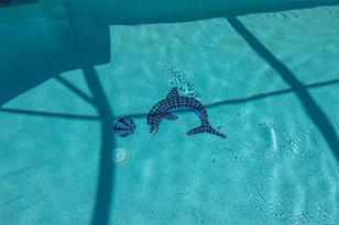 5141 Flagstone Dr, Sarasota, FL 34238 - Photo 17