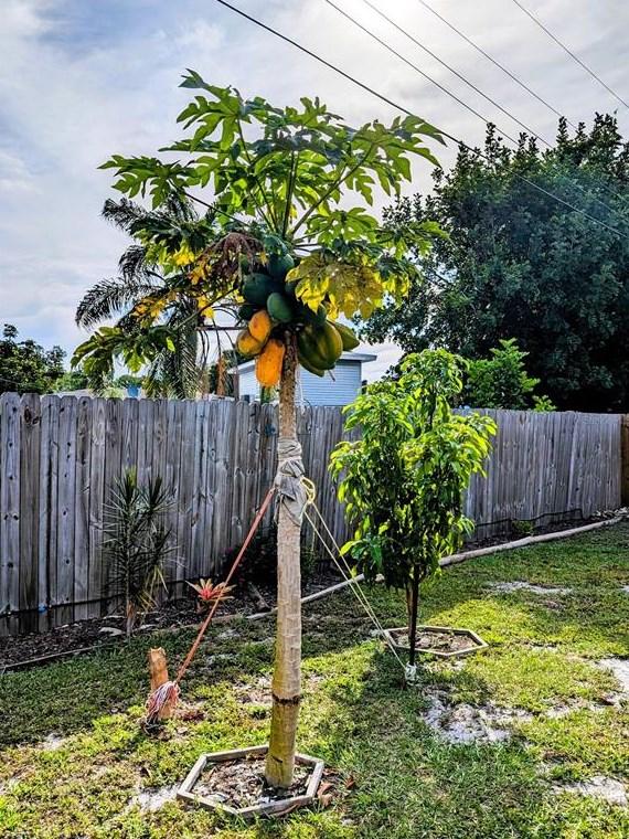 2068 Garden Ln, Bradenton FL  34207-8553 exterior