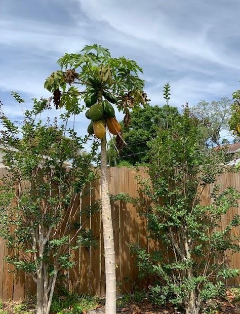 2068 Garden Ln, Bradenton FL  34207-8553 exterior