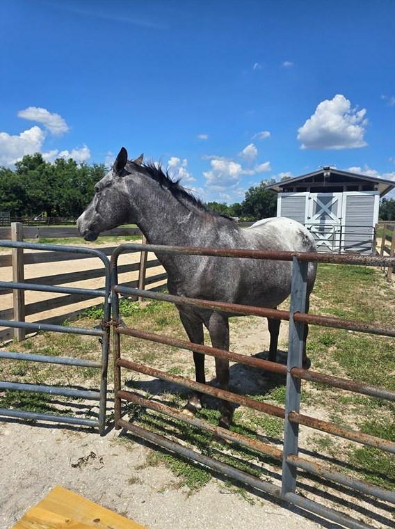 36400 Washington Loop Rd, Punta Gorda FL 33982-9589 exterior