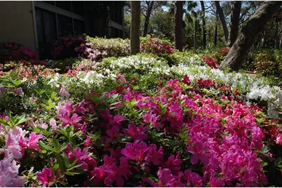 1720 Glenhouse Drive #GL429, Sarasota, FL 34231 - Photo 23