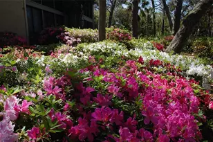 1720 Glenhouse Dr, Sarasota, FL 34231 - Photo 23