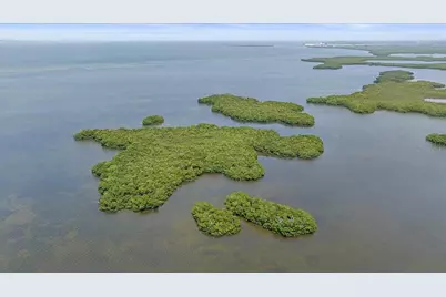 Stotz Road, Palmetto, FL 34221 - Photo 5