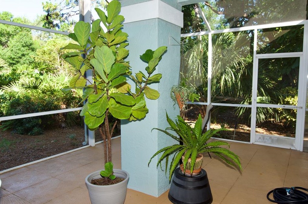 4912 Linsey Ct, Sarasota FL 34243-4556 exterior